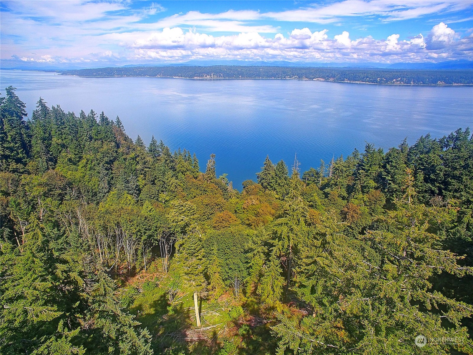 4081 Preserve Drive Camano Island WA 98282