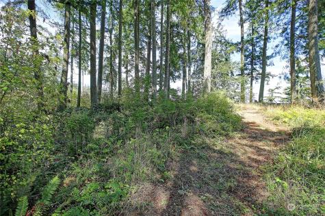4081 Preserve Drive Camano Island WA 98282