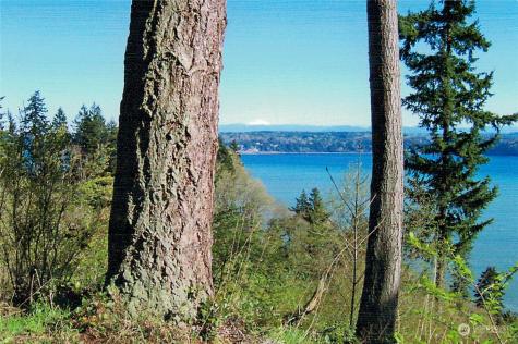 4081 Preserve Drive Camano Island WA 98282