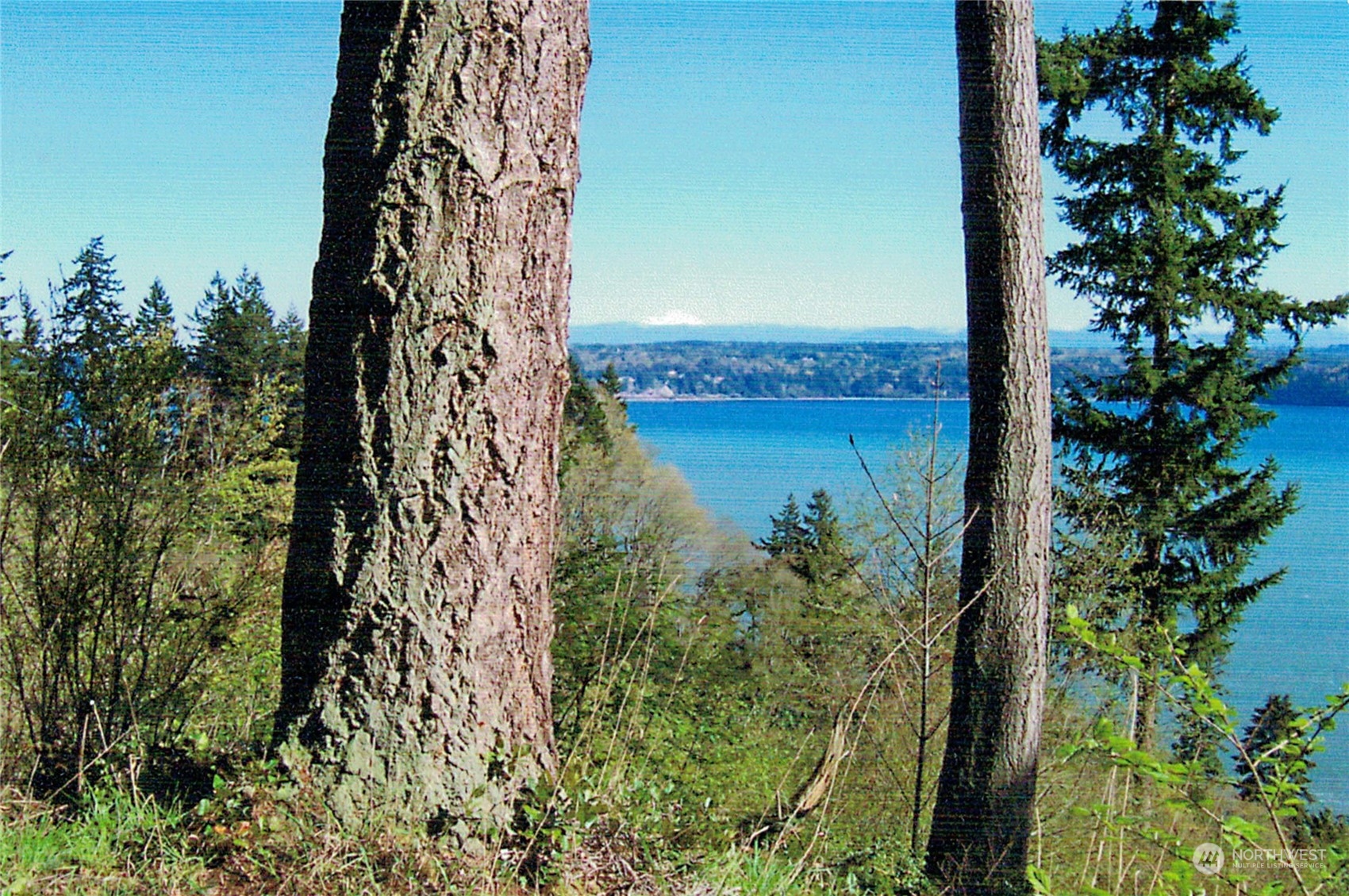 4081 Preserve Drive Camano Island WA 98282