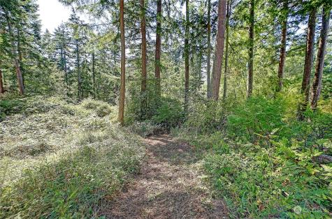 4081 Preserve Drive Camano Island WA 98282
