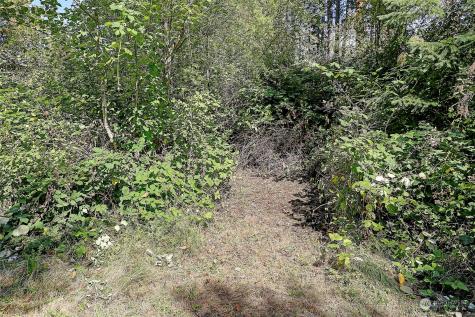4081 Preserve Drive Camano Island WA 98282