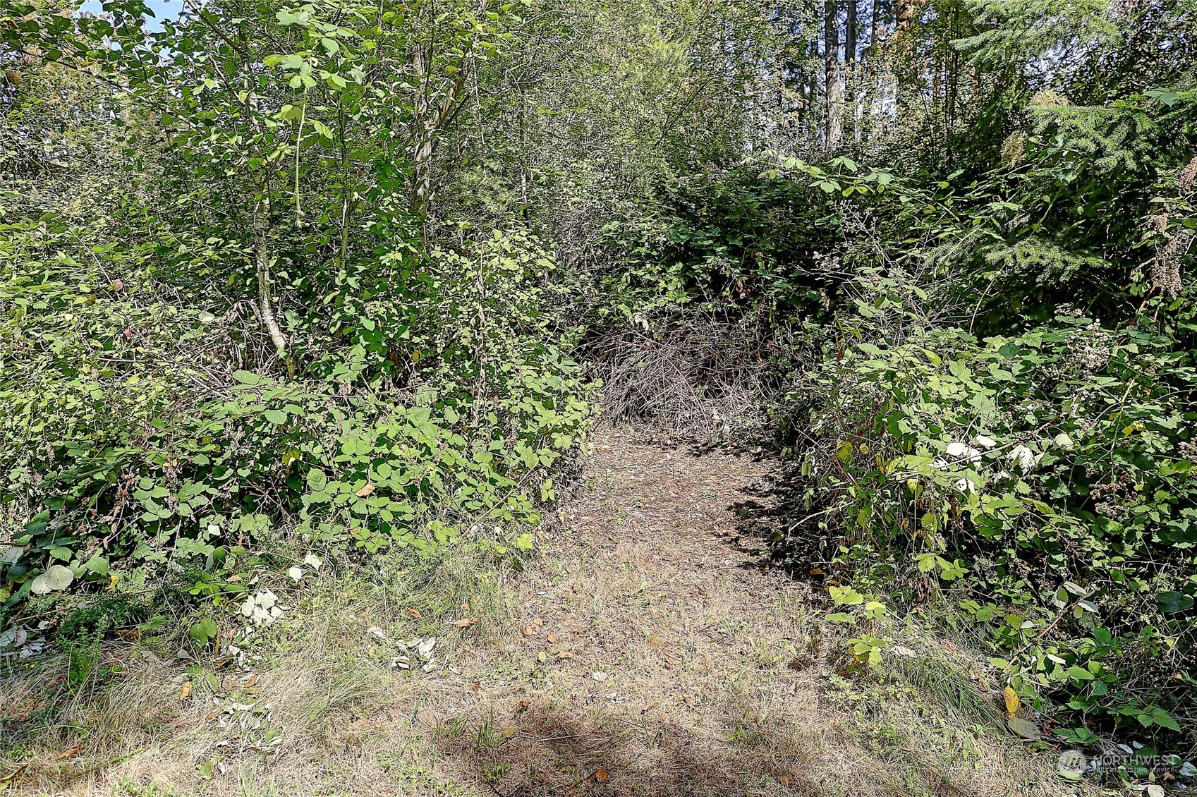4081 Preserve Drive Camano Island WA 98282