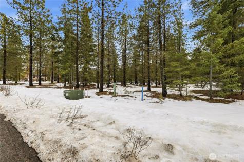 15 Gold Leaf Lane Cle Elum WA 98922