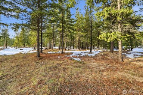 15 Gold Leaf Lane Cle Elum WA 98922