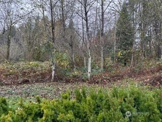 0 208th Place NE Woodinville WA 98077