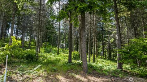 351 Quick Creek Lane Cle Elum WA 98922