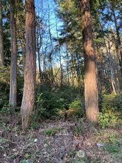 1 Huckleberry Lane Port Ludlow WA 98365