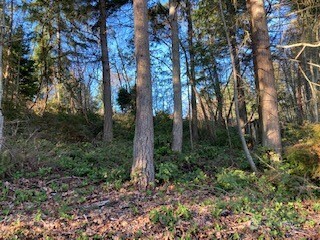 1 Huckleberry Lane Port Ludlow WA 98365