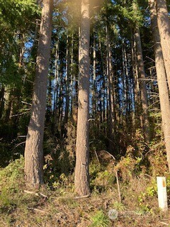 1 Huckleberry Lane Port Ludlow WA 98365