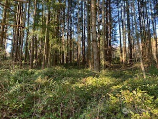 1 Huckleberry Lane Port Ludlow WA 98365