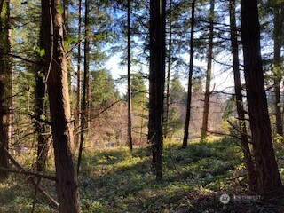 1 Huckleberry Lane Port Ludlow WA 98365