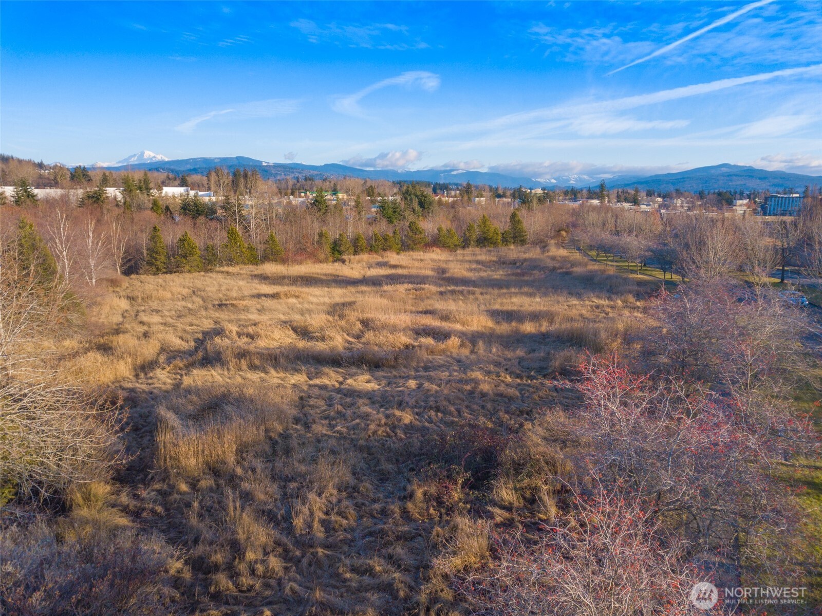 42 Cordata Parkway Bellingham WA 98226
