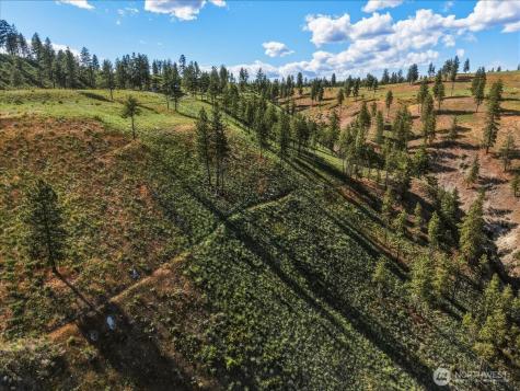6575 Union Valley Road Chelan WA 98816