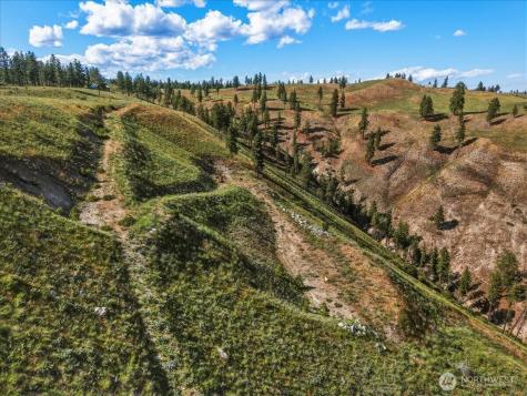 6575 Union Valley Road Chelan WA 98816