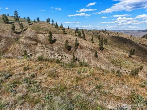 6575 Union Valley Road Chelan WA 98816