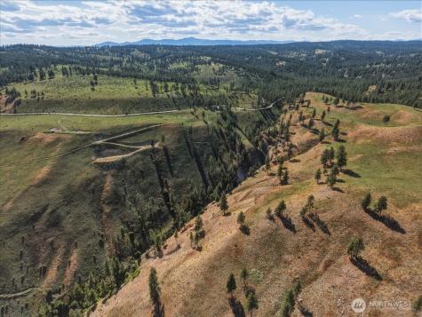 6575 Union Valley Road Chelan WA 98816