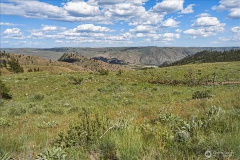 6575 Union Valley Road Chelan WA 98816