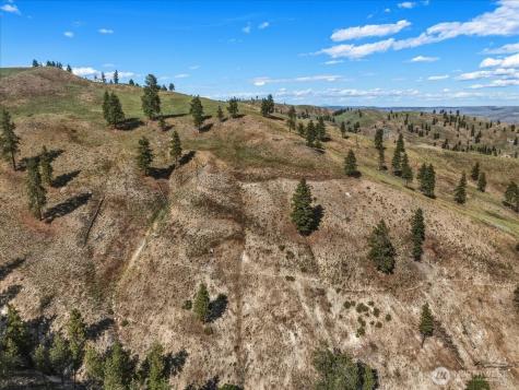 6575 Union Valley Road Chelan WA 98816