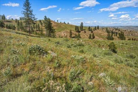 6575 Union Valley Road Chelan WA 98816