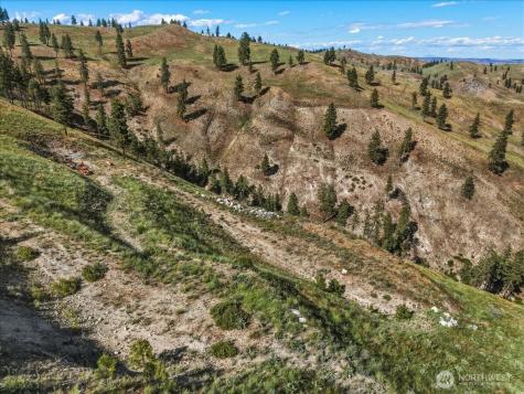 6575 Union Valley Road Chelan WA 98816