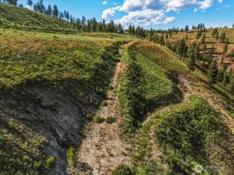 6575 Union Valley Road Chelan WA 98816