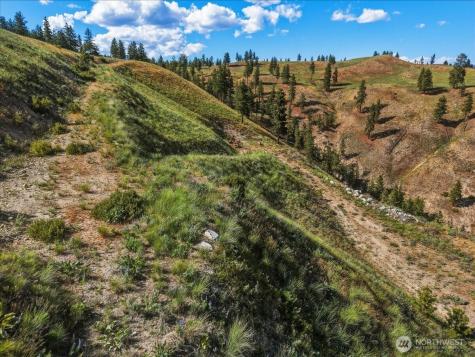 6575 Union Valley Road Chelan WA 98816