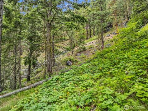 3720 Icicle Road Fs 7600 Road Leavenworth WA 98826