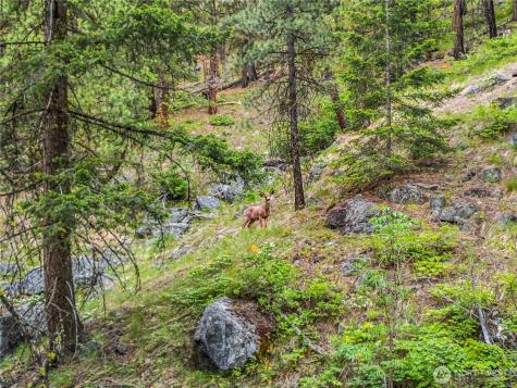 3720 Icicle Road Fs 7600 Road Leavenworth WA 98826