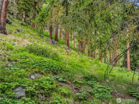 3720 Icicle Road Fs 7600 Road Leavenworth WA 98826