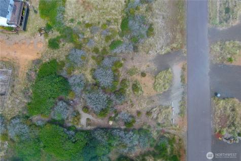 408 N Bel Air Loop SW Ocean Shores WA 98569