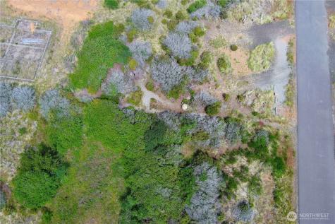 408 N Bel Air Loop SW Ocean Shores WA 98569