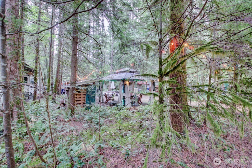201 Chanterelle Drive Deming WA 98244