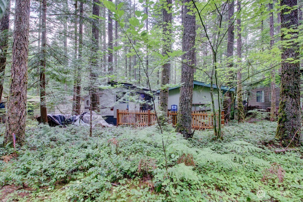 201 Chanterelle Drive Deming WA 98244