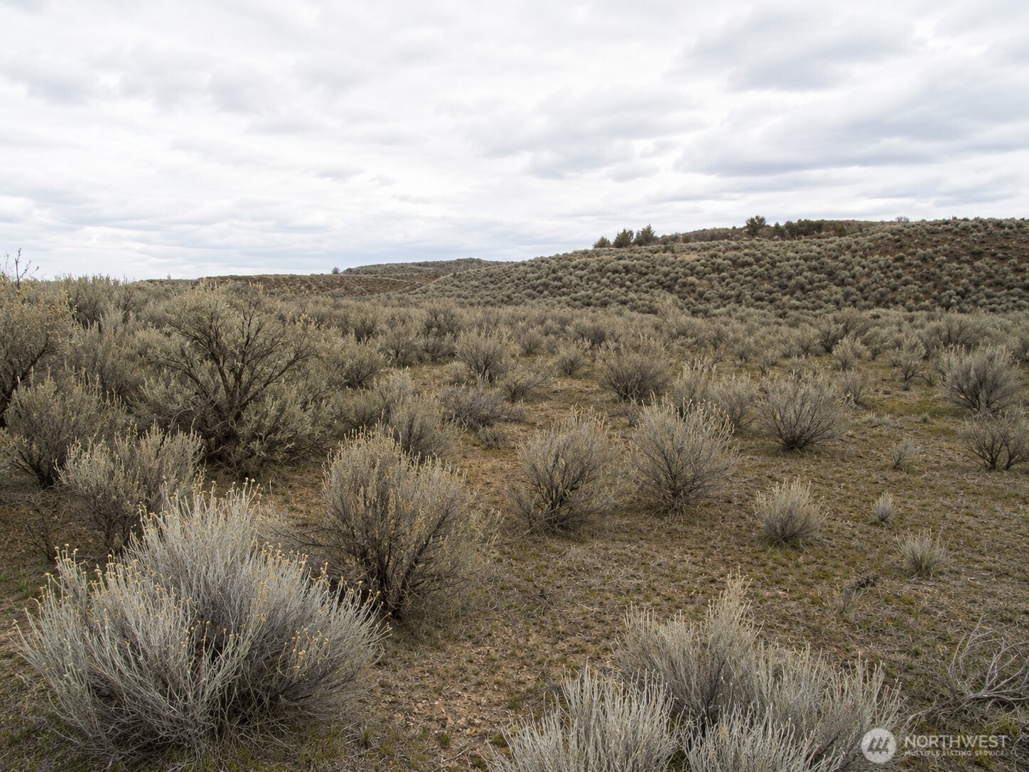 0 Lone Butte Court Ephrata WA 98823