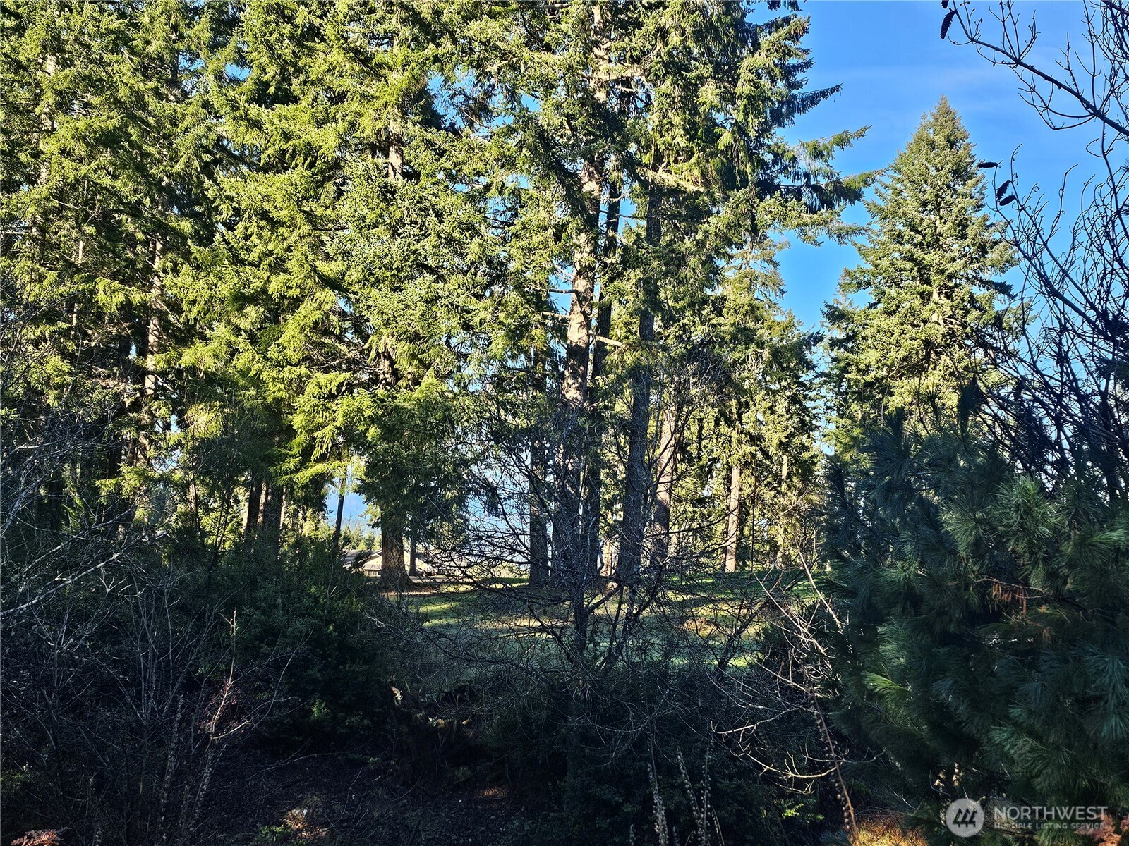 1190 E Manzanita Drive Union WA 98592