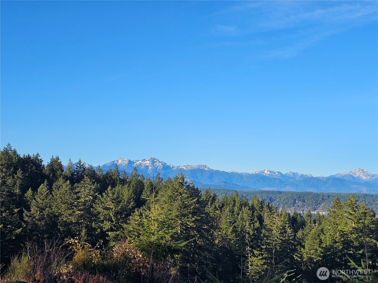 1190 E Manzanita Drive Union WA 98592