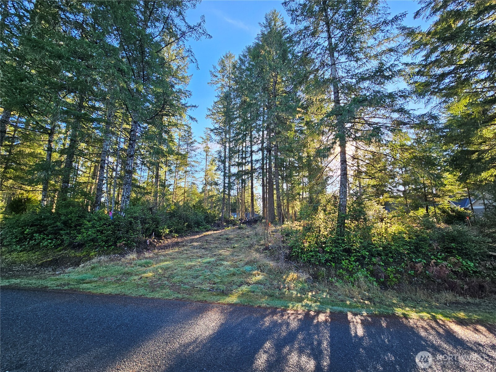1190 E Manzanita Drive Union WA 98592