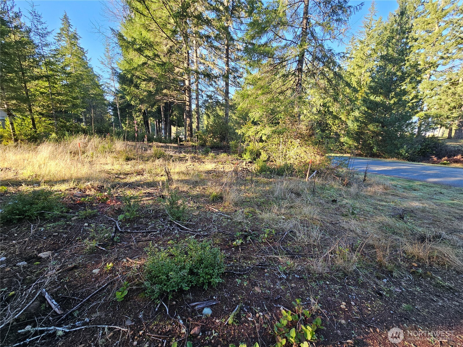 1190 E Manzanita Drive Union WA 98592
