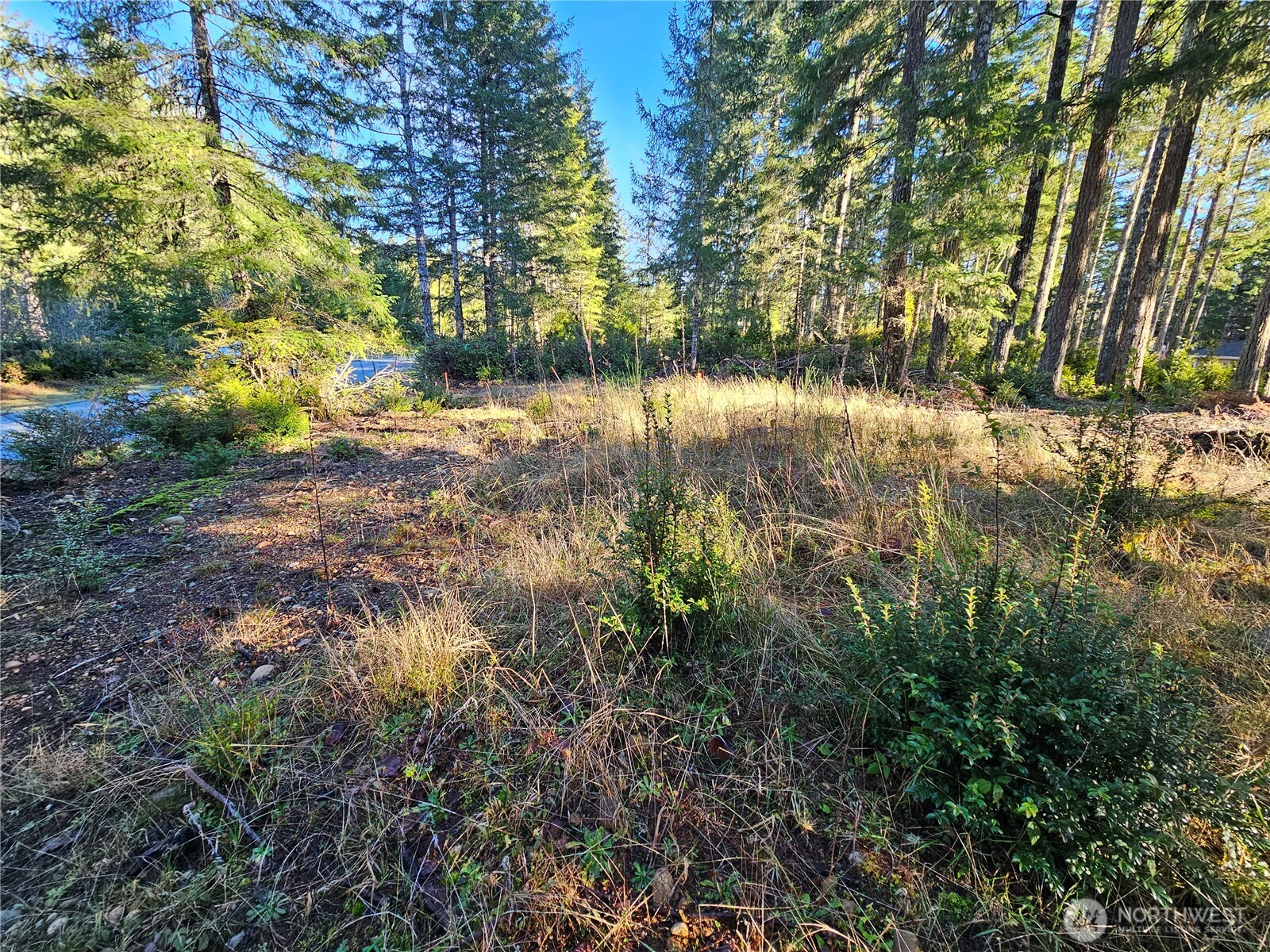 1190 E Manzanita Drive Union WA 98592