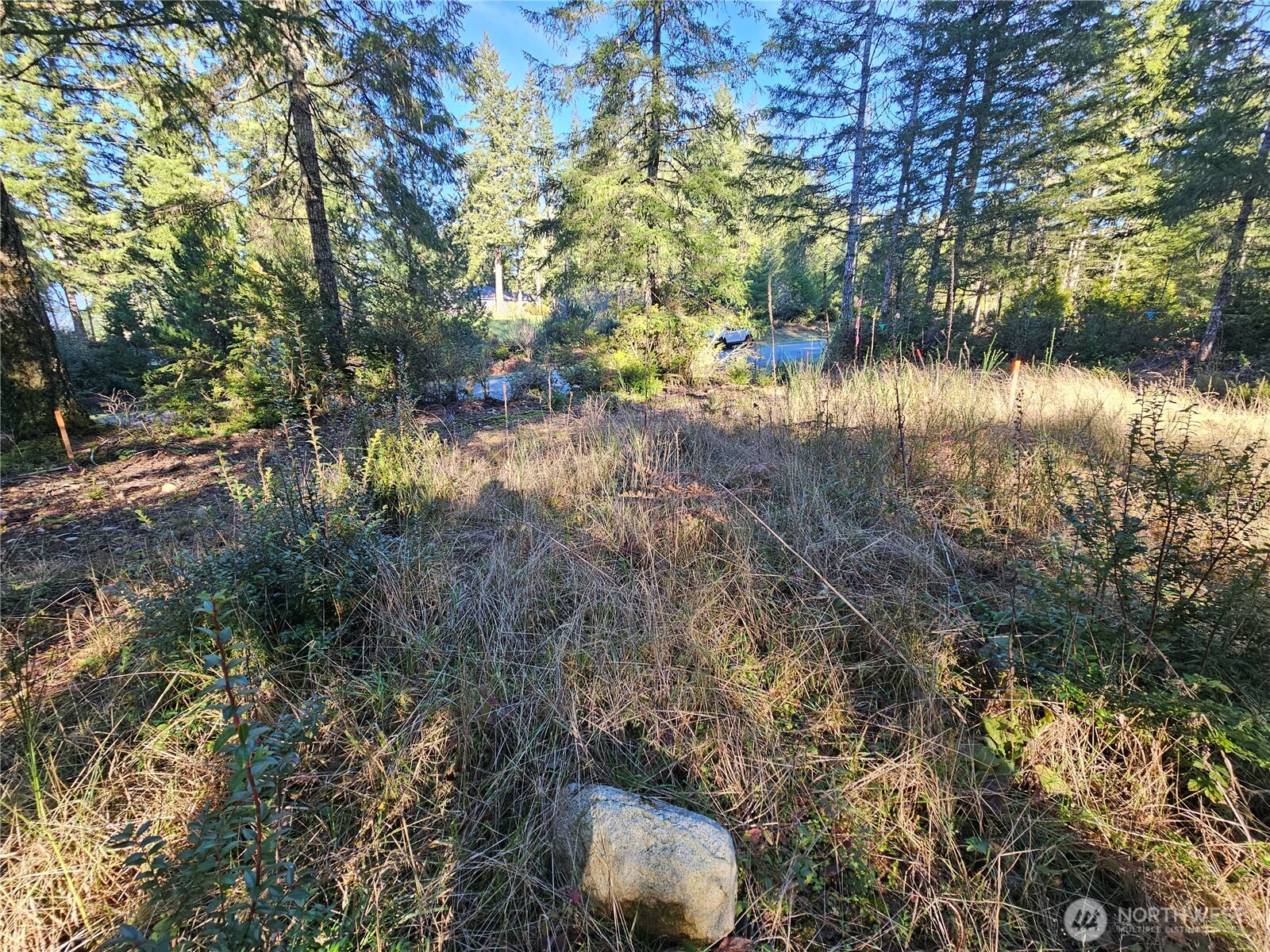 1190 E Manzanita Drive Union WA 98592