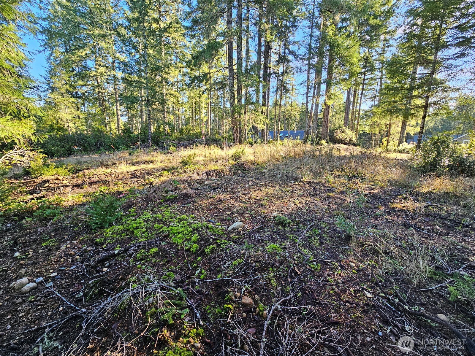 1190 E Manzanita Drive Union WA 98592