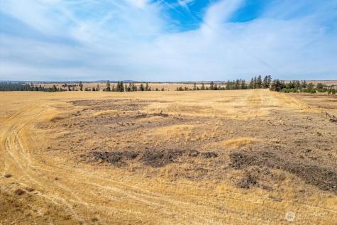 1000 N Christensen Medical Lake WA 99022