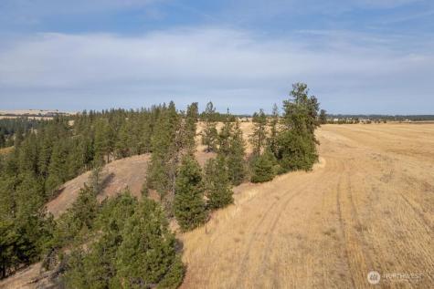 1000 N Christensen Medical Lake WA 99022