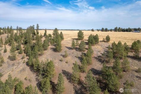 1000 N Christensen Medical Lake WA 99022