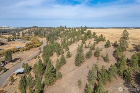 1000 N Christensen Medical Lake WA 99022