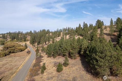 1000 N Christensen Medical Lake WA 99022
