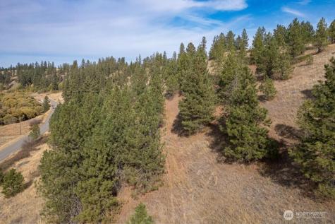 1000 N Christensen Medical Lake WA 99022
