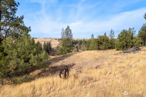 1000 N Christensen Medical Lake WA 99022