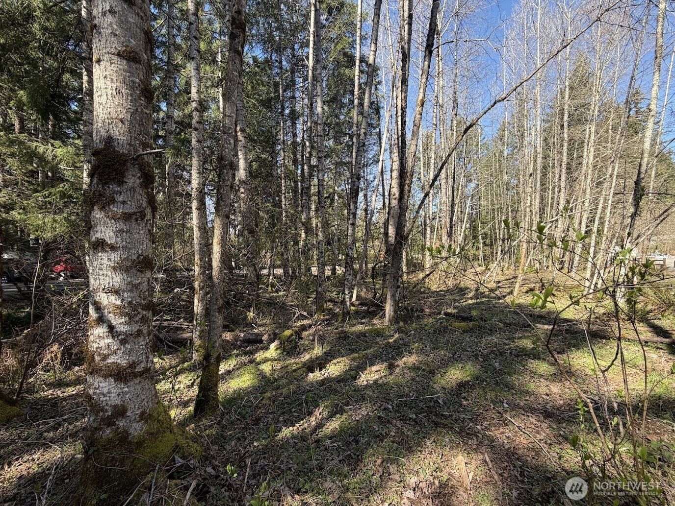 181 Nisqually Way Ashford WA 98304